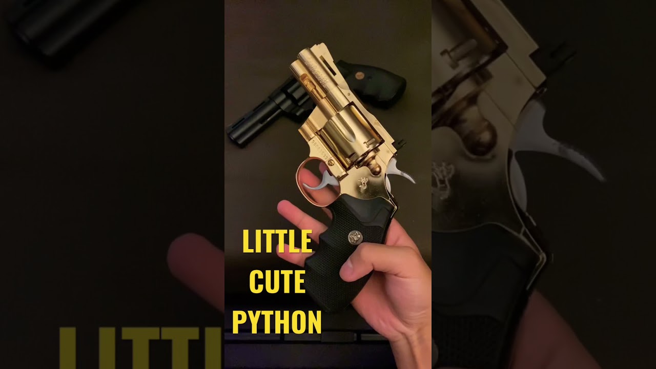 Change the grip and add some details on my little PYTHON 😍#shorts #python #airsoft