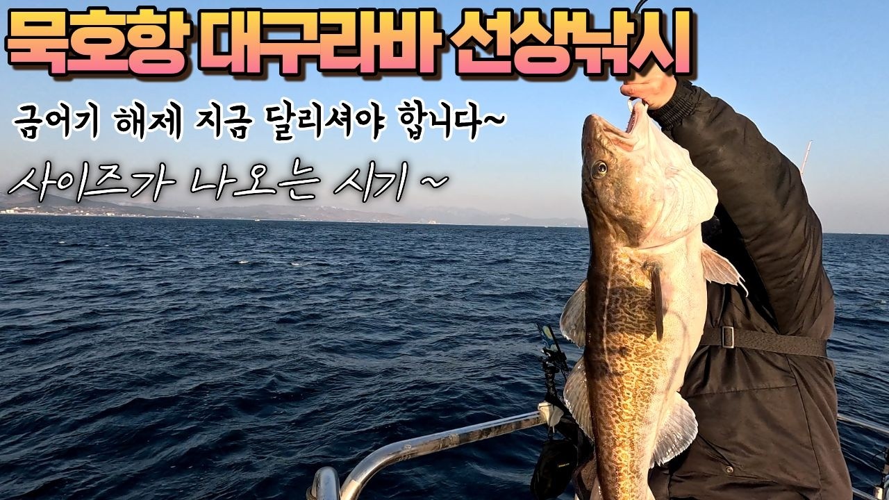묵호항 2월 20일 대구라바 선상낚시 [쌈바호]