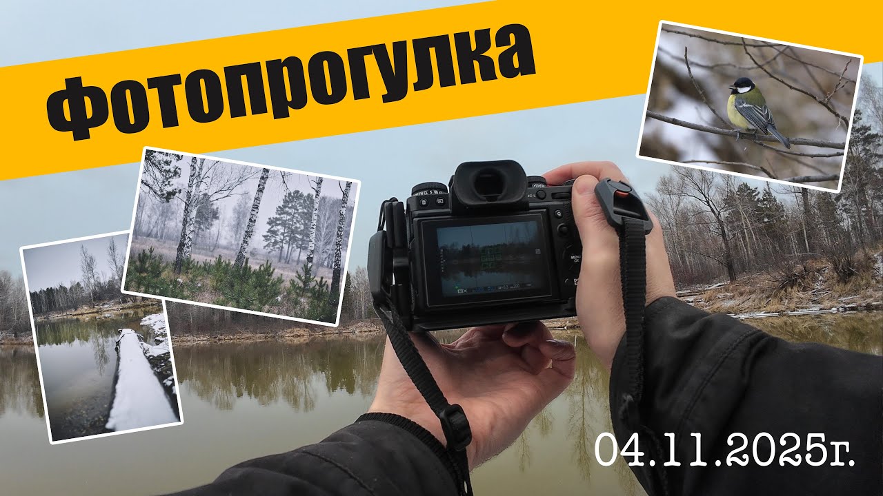 фотопрогулка 04 11 2025г
