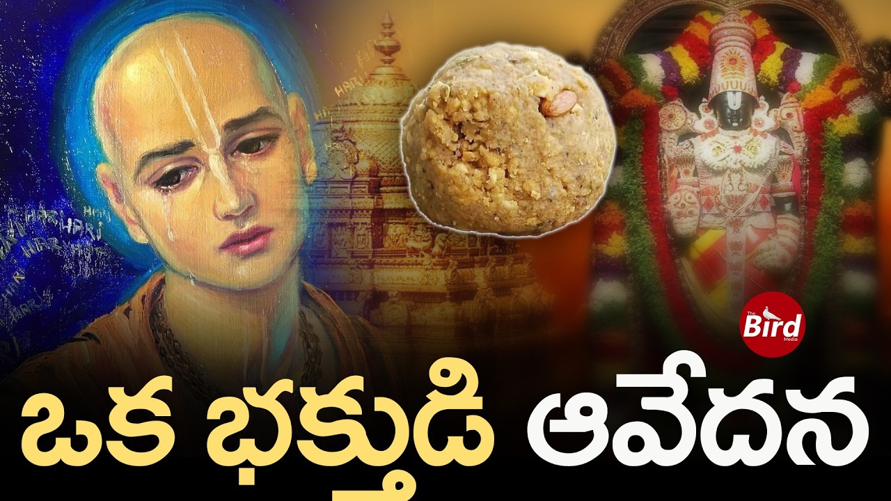ఒక భక్తుడి ఆవేదన | Tirupati Laddu Laced With Chemicals, Synthetic Ghee | Bird Media |