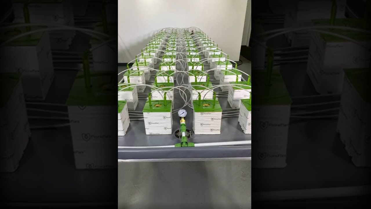 1 Way Micro Drip Assembly Setup