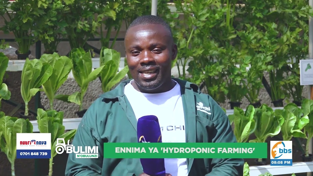 Laba_obugagga_obuli_mu_kulimira_ku_mazzi,_tewetaaga_ttaka_#ObulimiNobulunzi