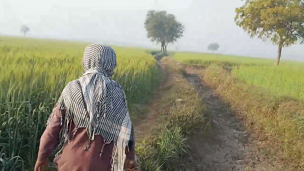 Walk 🚶is important life 😘 #vlog 