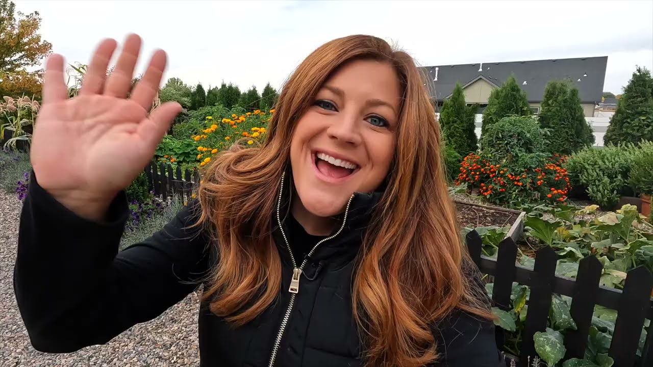 Project Updates, Amazing Sweet Potato/Ornamental Corn Harvest & Tree Pruning! 🙌🌳🌽