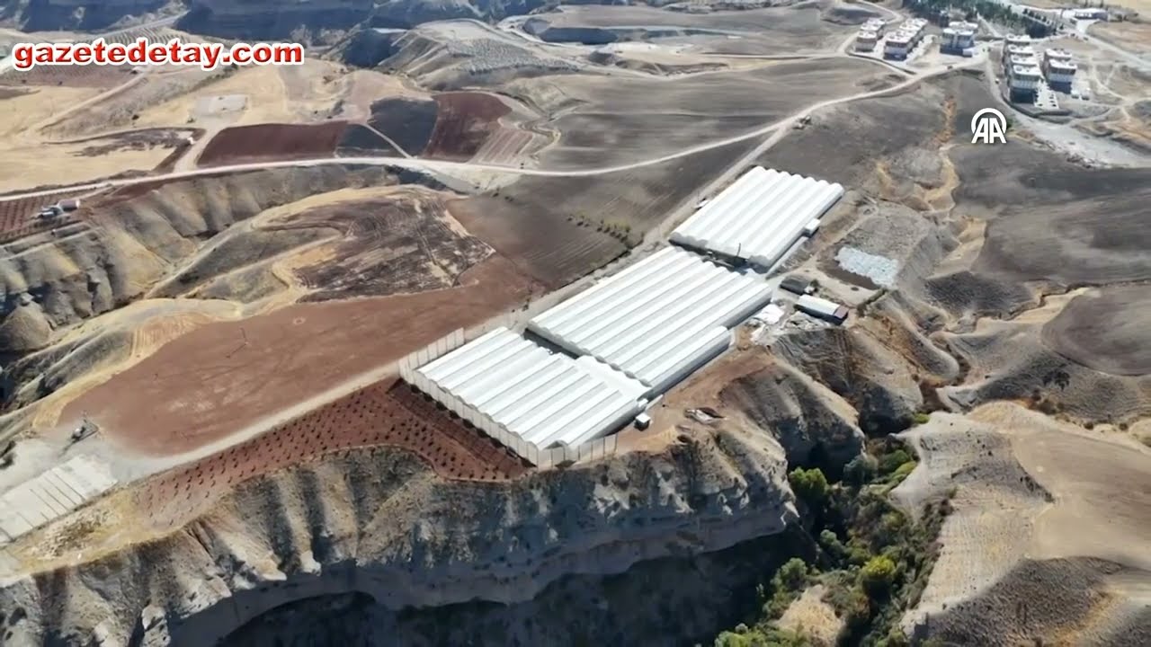 Adıyaman'da kıraç arazide süs bitkisi üretimiyle 20 kişiye istihdam sağladı