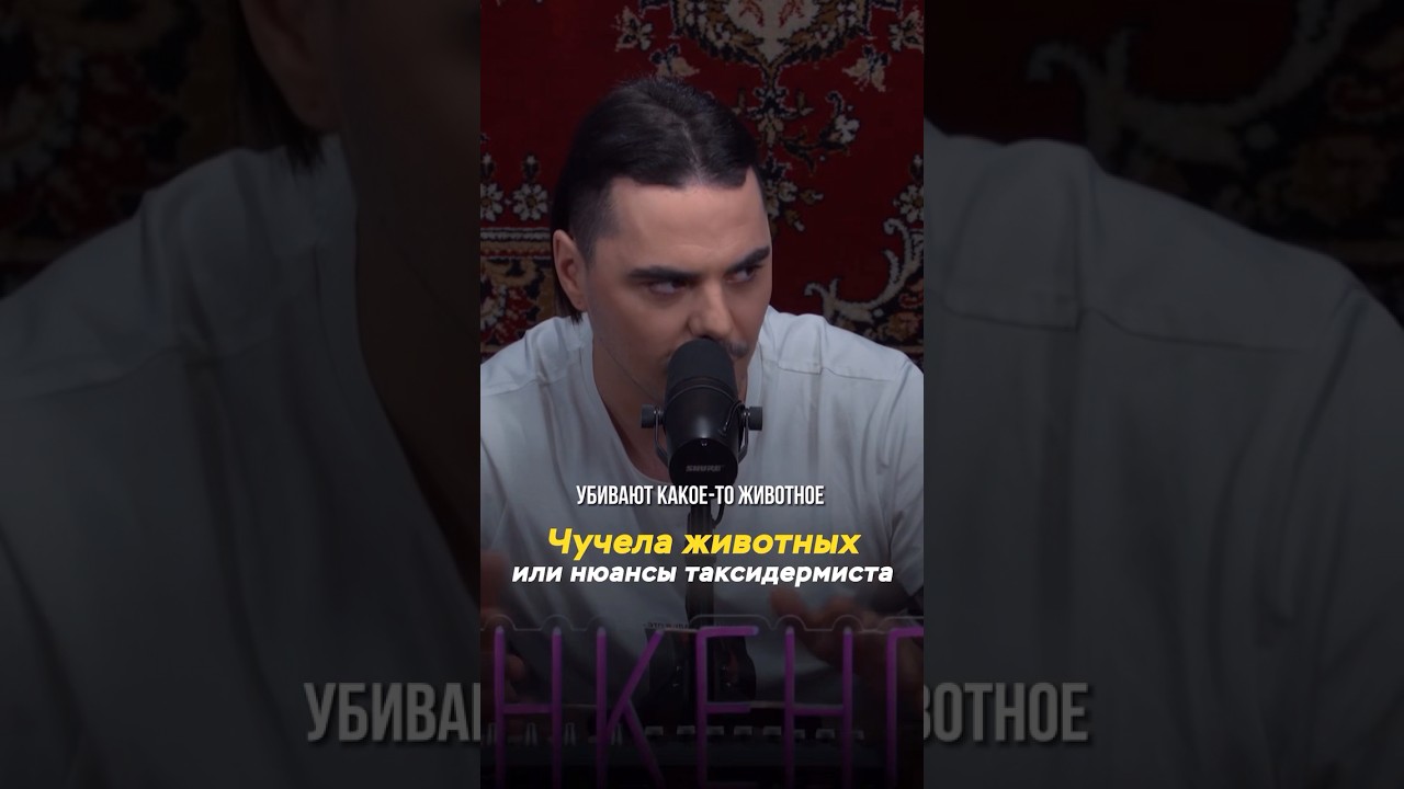 Чучела животных или нюансы таксидермиста/ Геннадий Пузанкевич, таксидермист