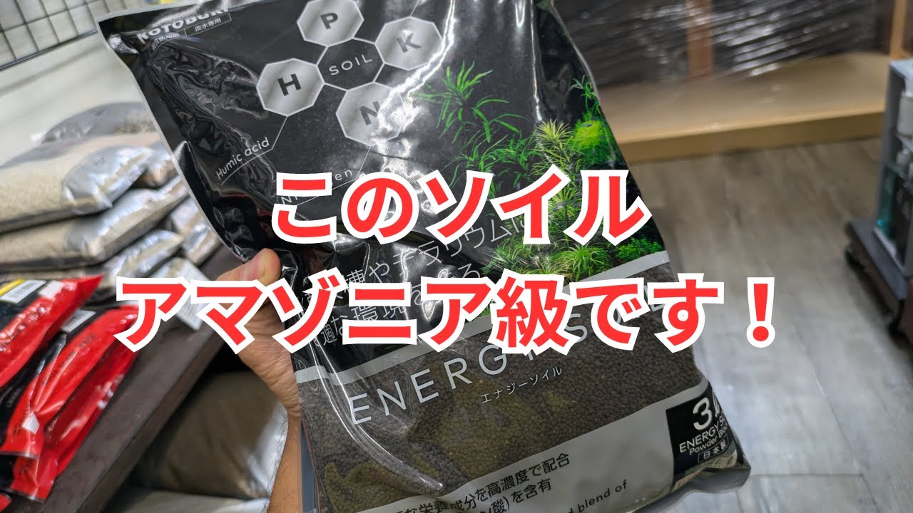 【ポスト・アマゾニア】コトブキ エナジーソイルをレビュー！