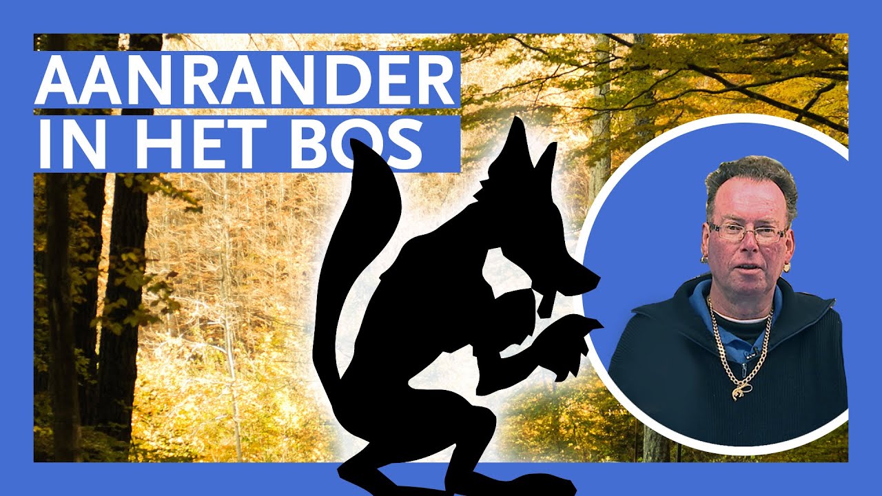 Lachende Visboer | AANRANDER IN HET BOS [MOPPEN #14]