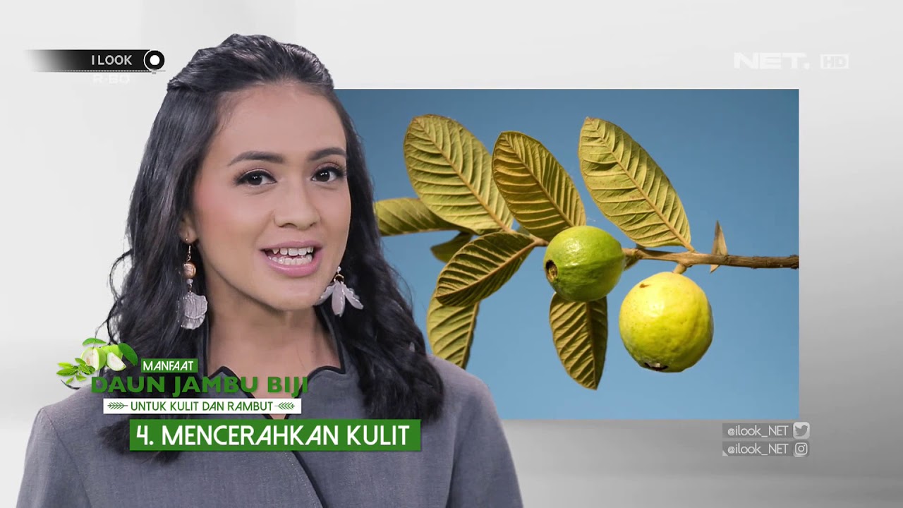iLook - Manfaat Daun Jambu Biji Untuk Kulit dan Rambut