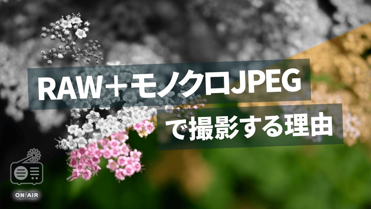 RAW＋モノクロJPEGで撮影する理由｜カメラ初心者にもおすすめ