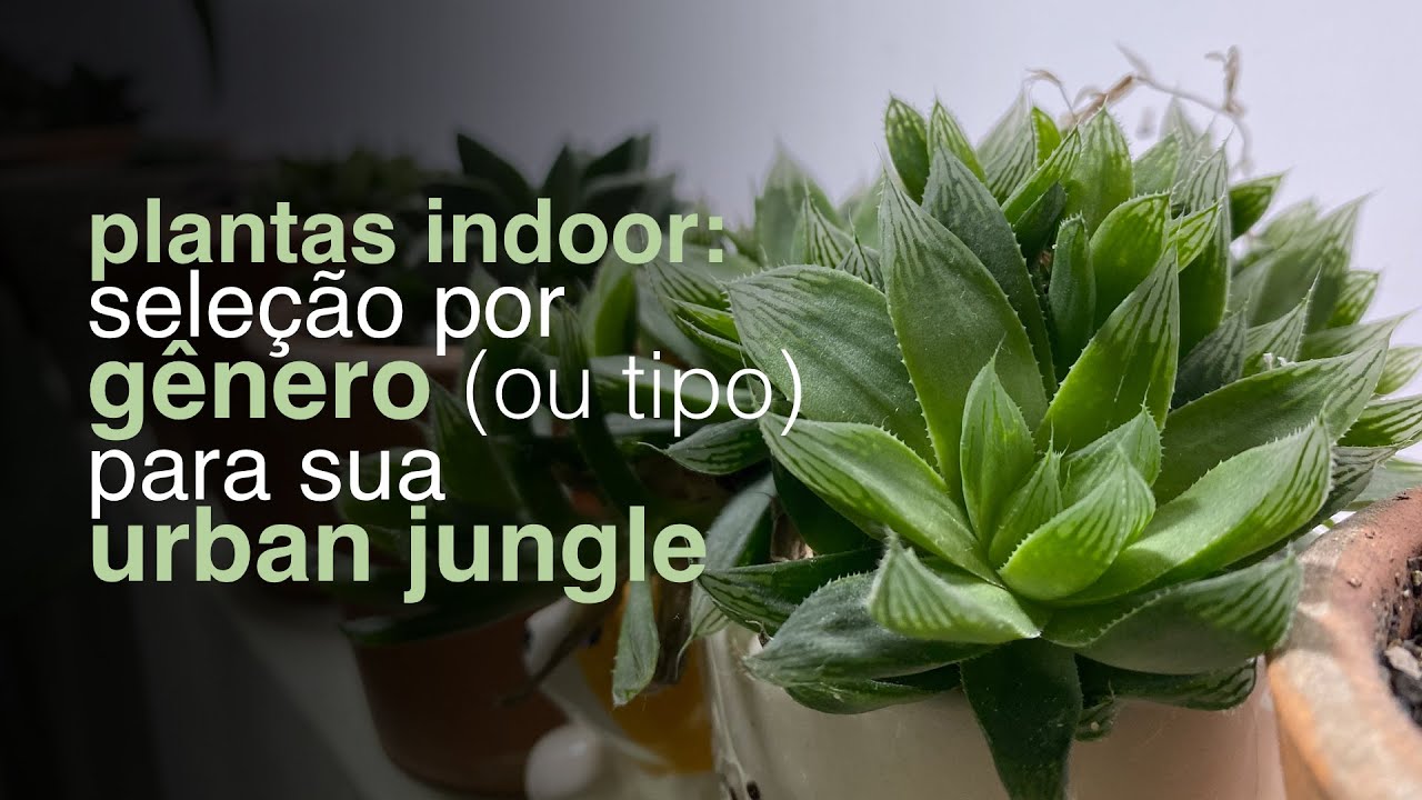 Plantas Indoor | 27 Tipos e G&ecirc;neros para Sua Urban Jungle | Flay