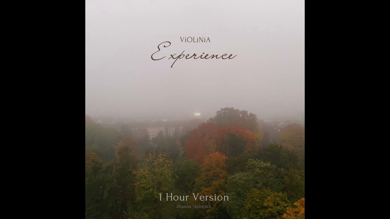 Ludovico Einaudi - Experience ( Cover 1 hour version  by ViOLiNiA)
