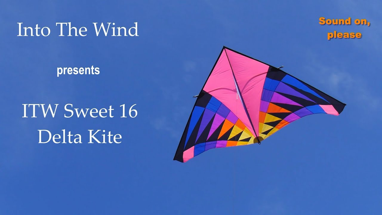 Into The Wind Sweet 16 Delta Kite