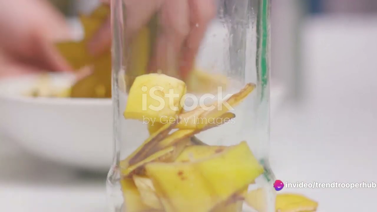 Lemon Tree Propagation Hack: Using Bananas for Success! #plant #lemontreecare #gardening