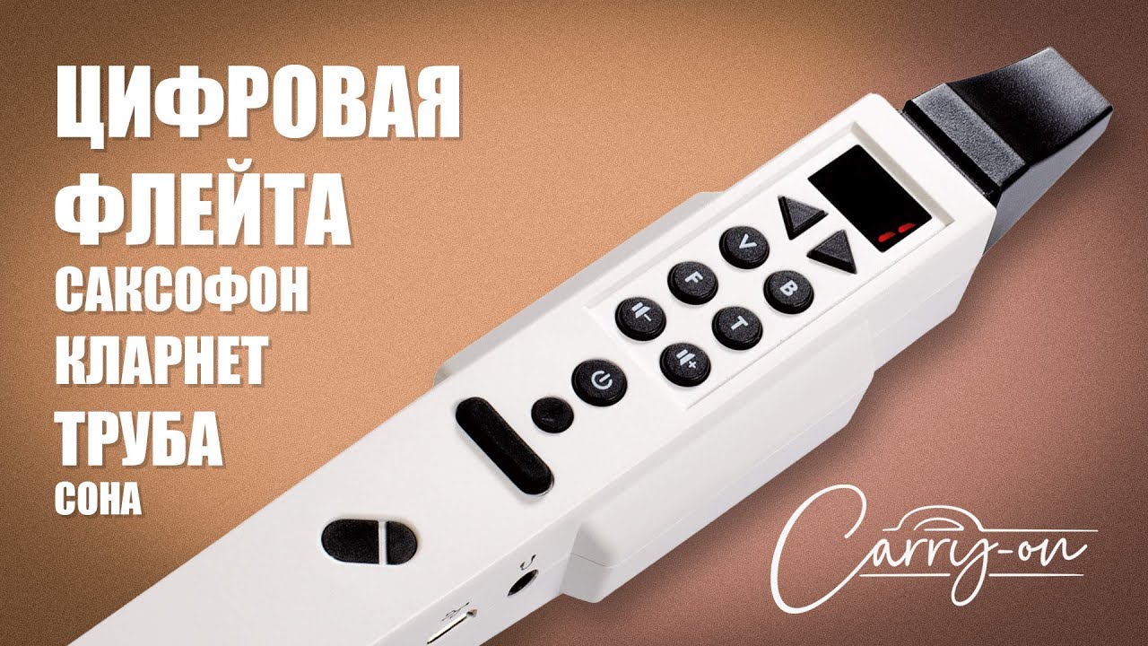 Цифровая флейта, труба, саксофон, кларнет... Carry-on Digital Wind Instrument