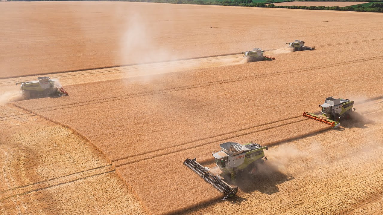 AgroSpol Michalovce | Žatva 2022 | 5 x CLAAS Lexion | 7 x FENDT | 4K | EastSlovakiaAgriculture (ESA)
