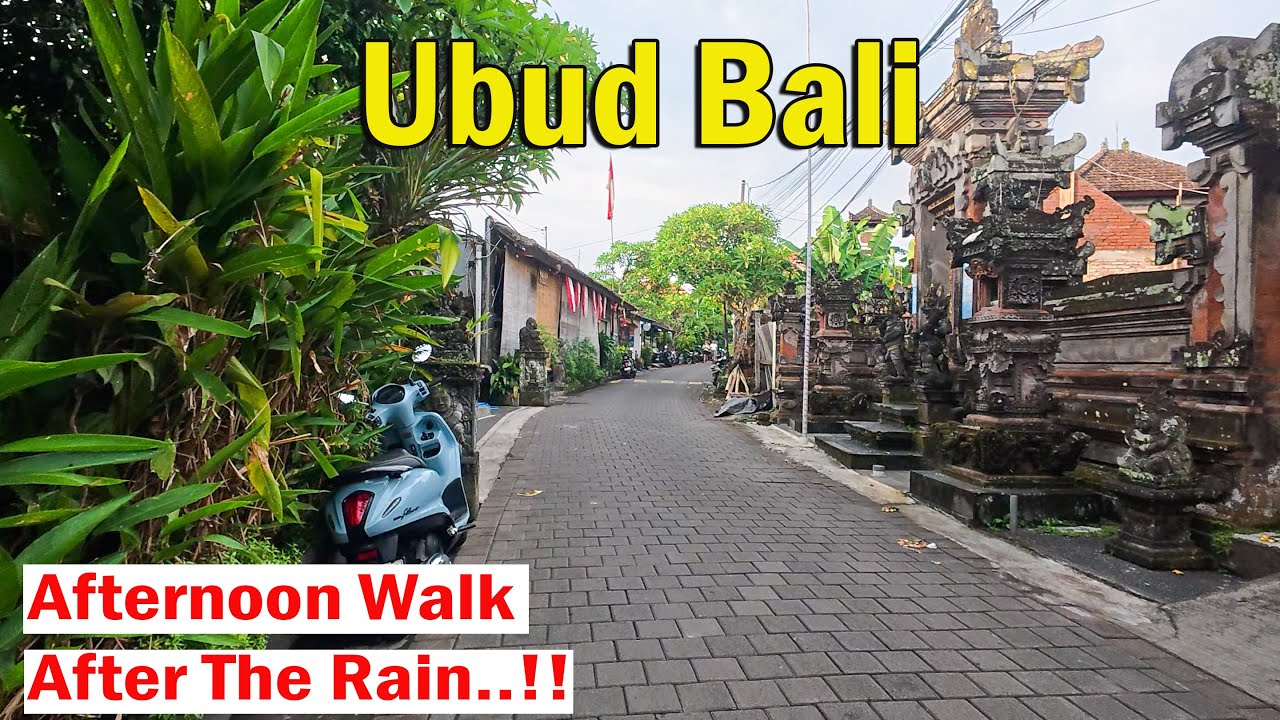 Afternoon Walk After The Rain In Ubud Bali..!! Lets Stroll Around..!!