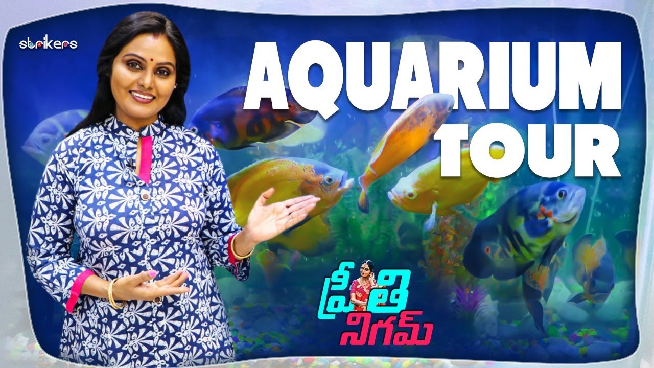 మా బావ గారి Aquarium Tour || Preeti Nigam || Strikers