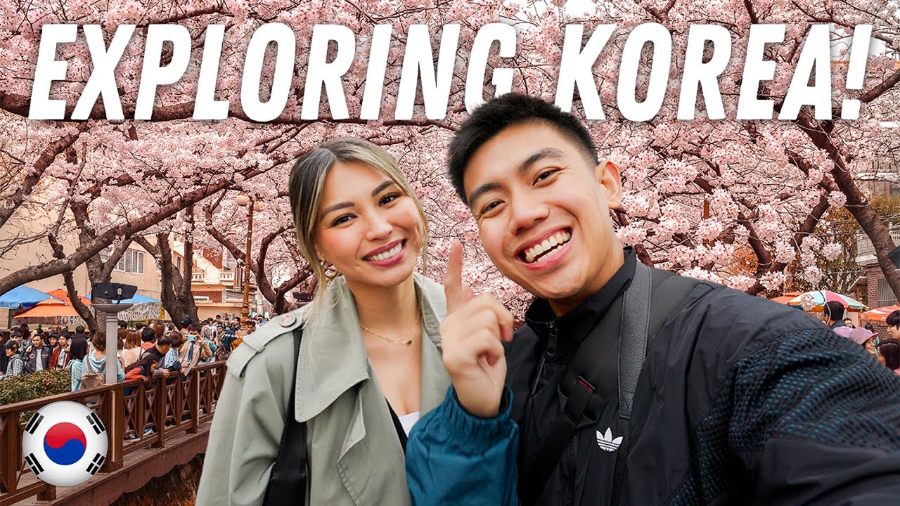 This is South Korea's Biggest Cherry Blossom Festival!🇰🇷