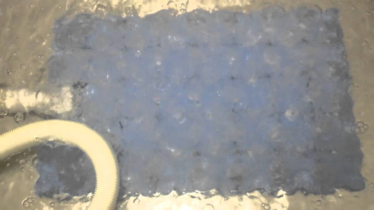 Pet Skin Ozone Therapy Generator.MP4