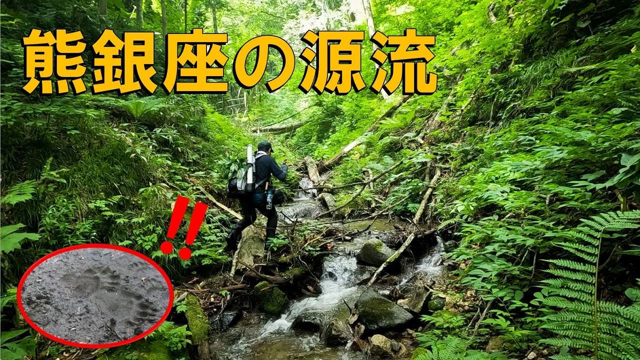 【渓流ルアー】フグスマの熊銀座。その源流がすごすぎた！