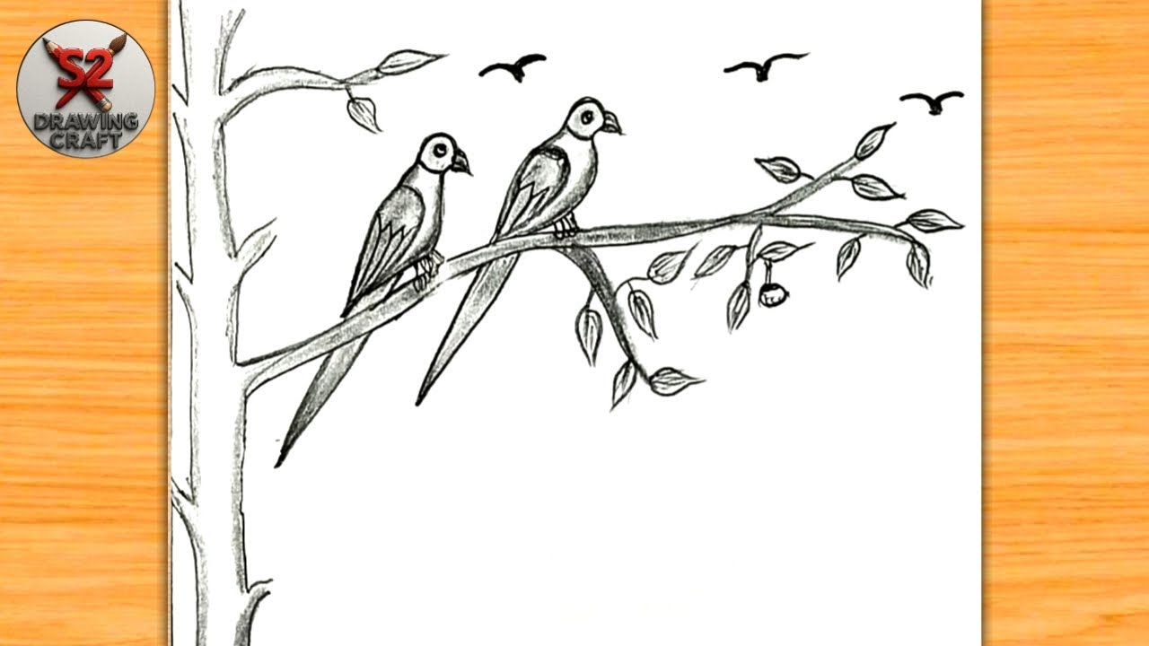 how to draw a parrot easy | तोता कैसे बनाए | easy drawing begginars | step-by-step parrot drawing