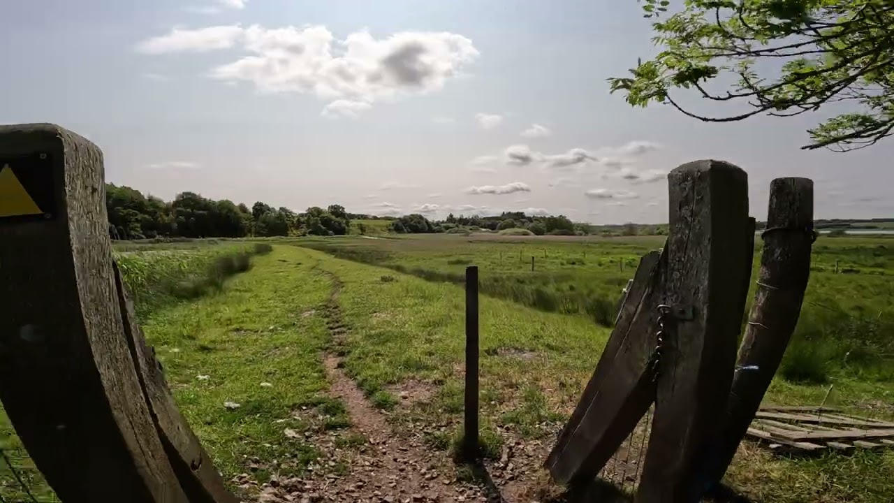 "Halkær Mill & the Tranquil Lake | Hidden Nature Gem in Northern Denmark"