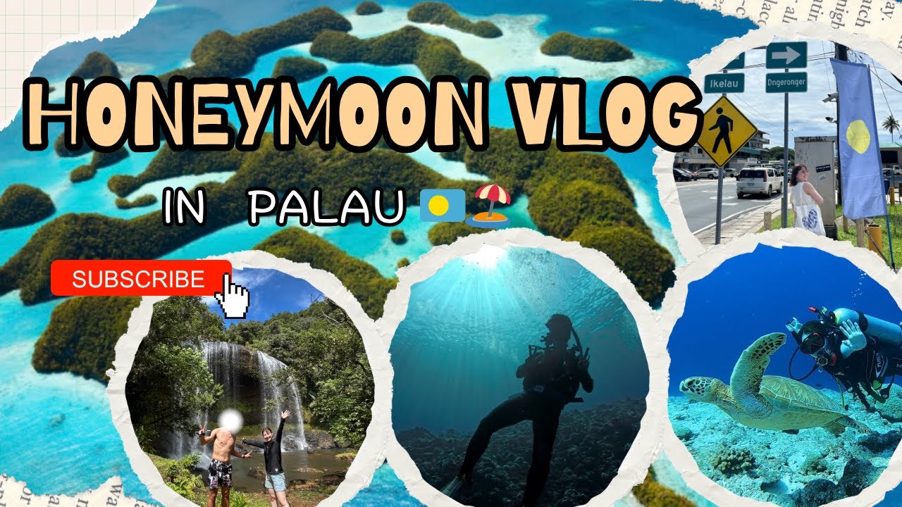 【新婚旅行】ダイバーの聖地パラオへ！新婚夫婦のハネムーン記録🇵🇼グアム〜パラオ編