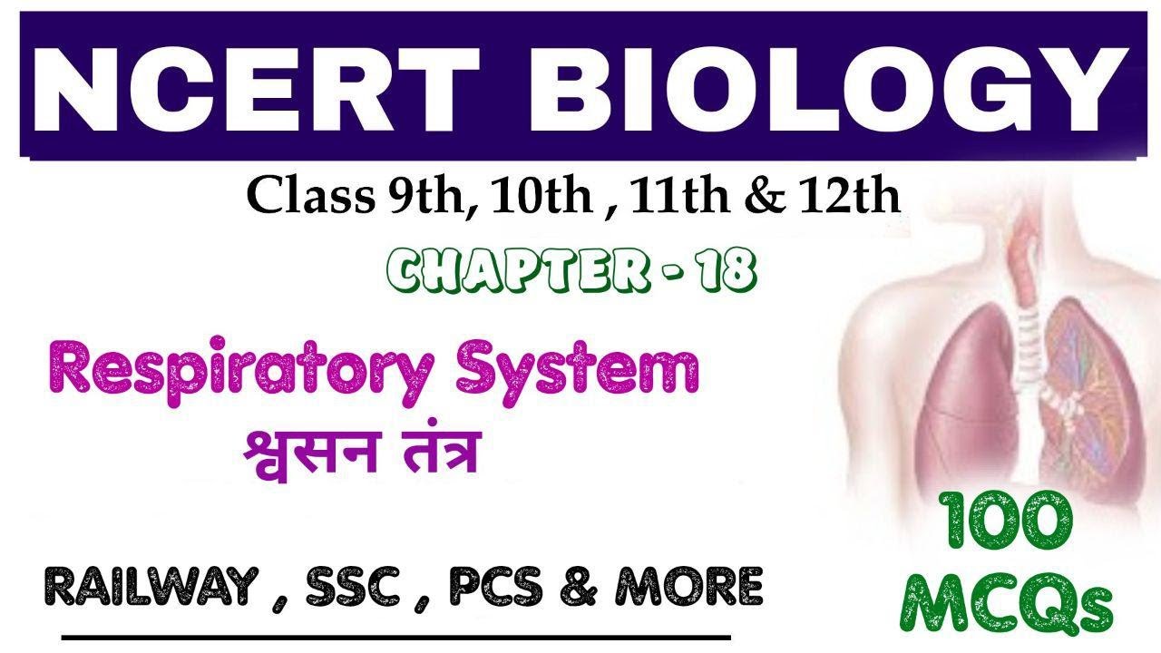 NCERT BIOLOGY : Respiratory System || श्वसन तंत्र || 100+ V.V.I MCQs || Bilingual ||