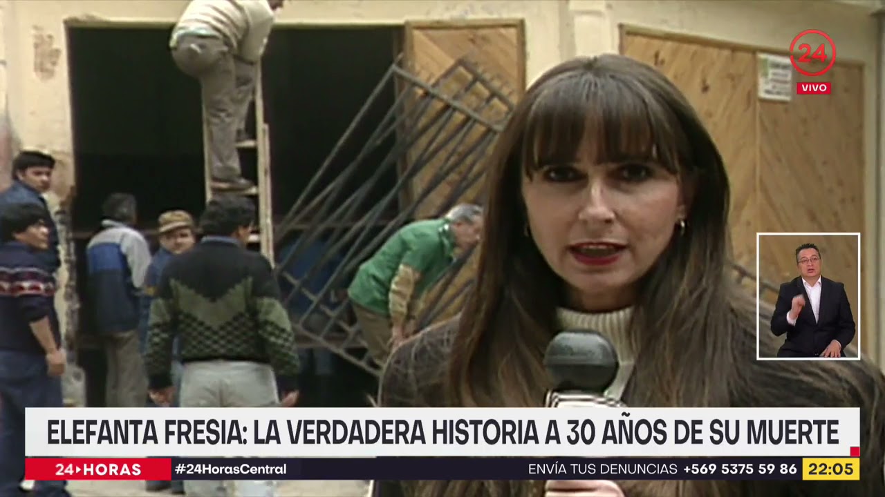 Elefanta Fresia: la verdadera historia a 30 años de su muerte