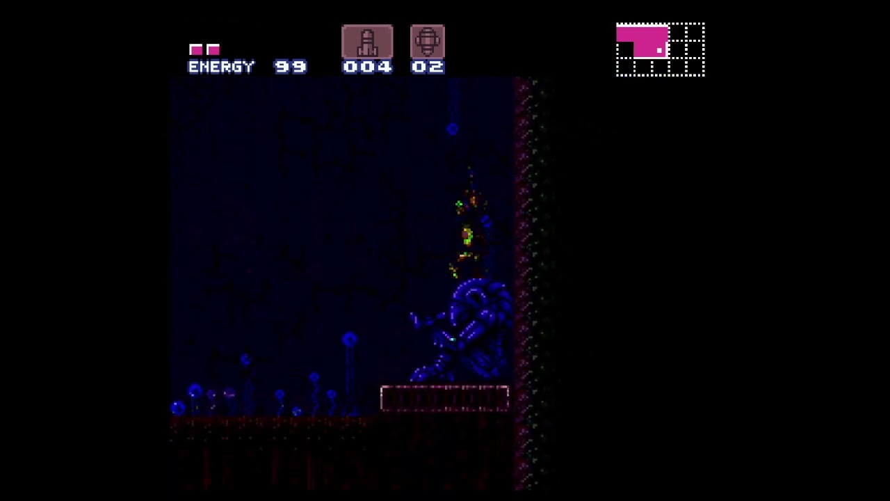 metconst room of the month entry: may 2024