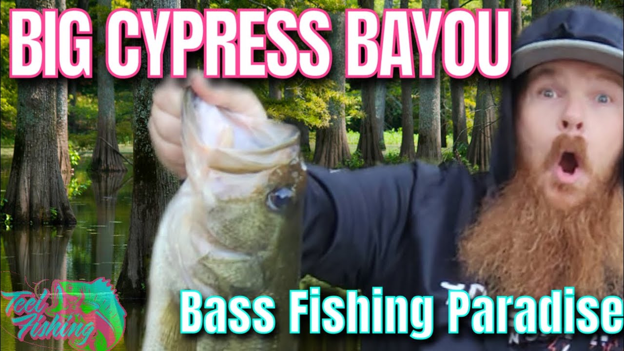 BIG CYPRESS BAYOU / Bass fishing paradise / with @TexasReelnFishing 