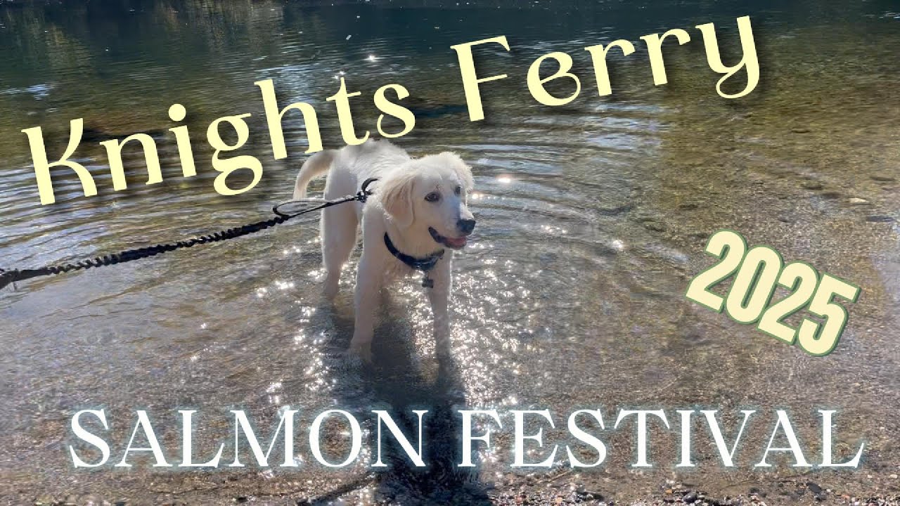 Salmon Festival 2025