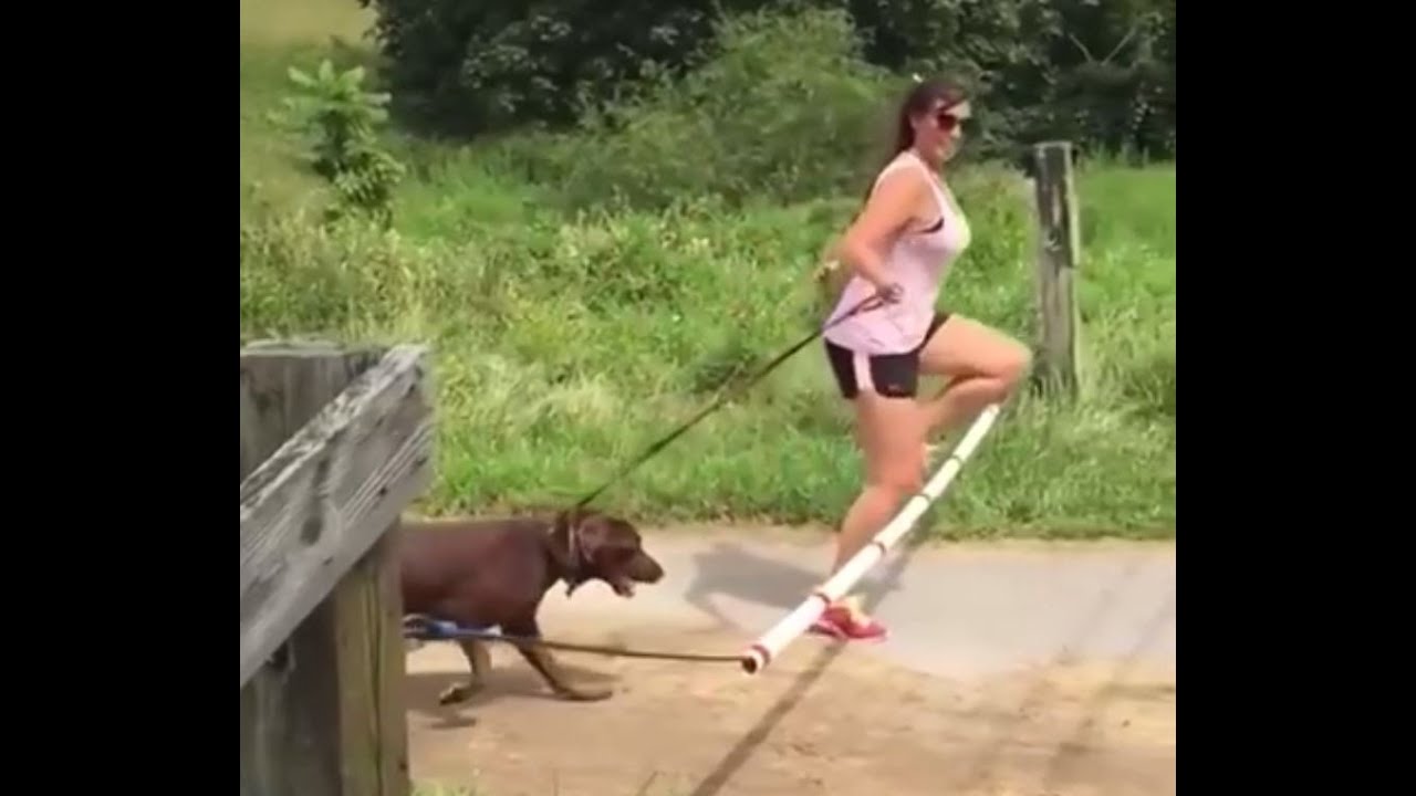 Funny Epic Fail Compilation 2016