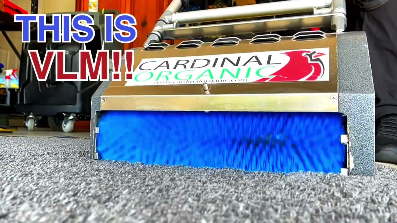 Cardinal Organic VLM Carpet Cleaning