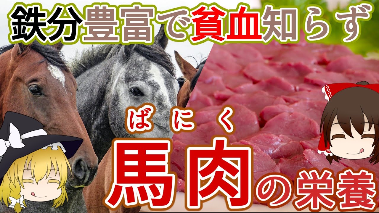 【ゆっくり解説】栄養豊富なで低カロリー！馬肉の栄養について解説！