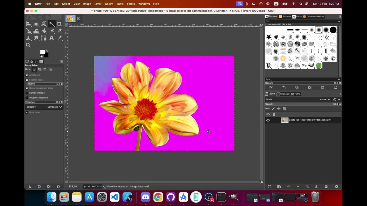 Macbook m3 - Gimp Can not delete the selection with Delete button - an Alternative Fix