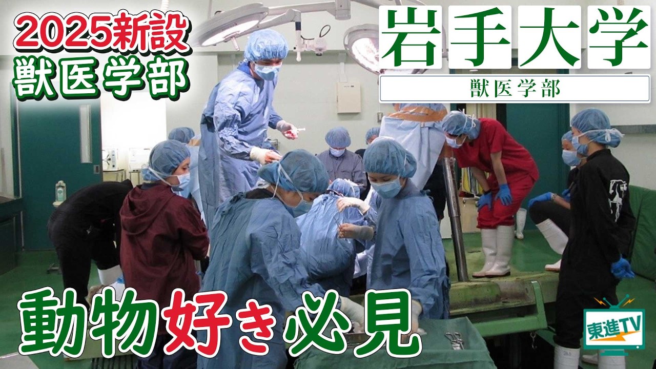 岩手大学獣医学部｜2025年4月学部化！新しい獣医学部の魅力って？獣医学生に求められるものは？#岩手大学 #獣医学部 #新設学部