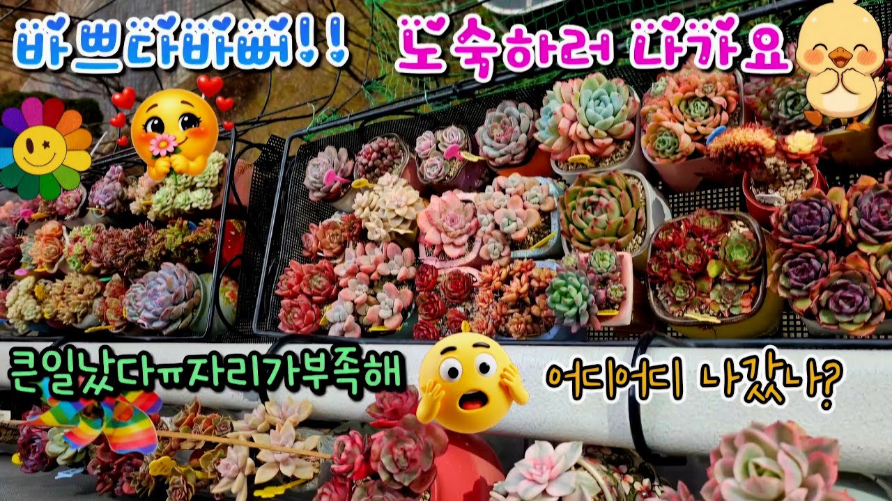 2.26 바쁘다바뻐!!노숙하러 나가요~집안곳곳 노숙장소 보여드려요😚자리가부족해~!😂