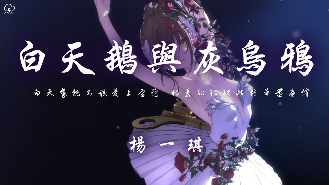 楊一琪 - 白天鵝與灰烏鴉「白天鵝就不該愛上烏鴉 枯萎的玫瑰比野草還廉價」【動態歌詞/PinyinLyrics】♪