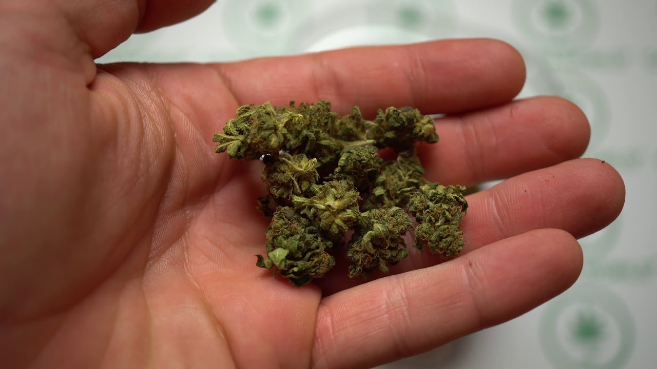 Pomarańcza - SUSZ KONOPNY ORANGE SKUNK 10,45% CBD