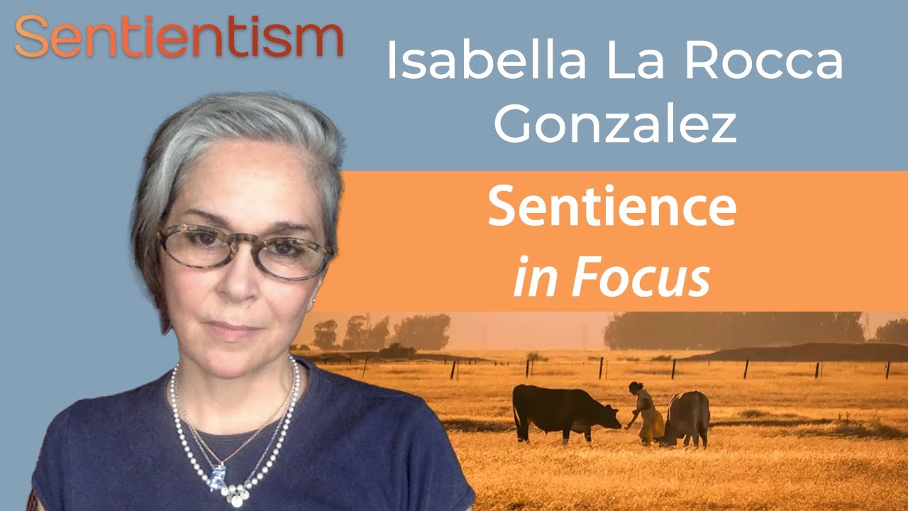 Censored Landscapes - Isabella La Rocca Gonzalez - #sentientism 240