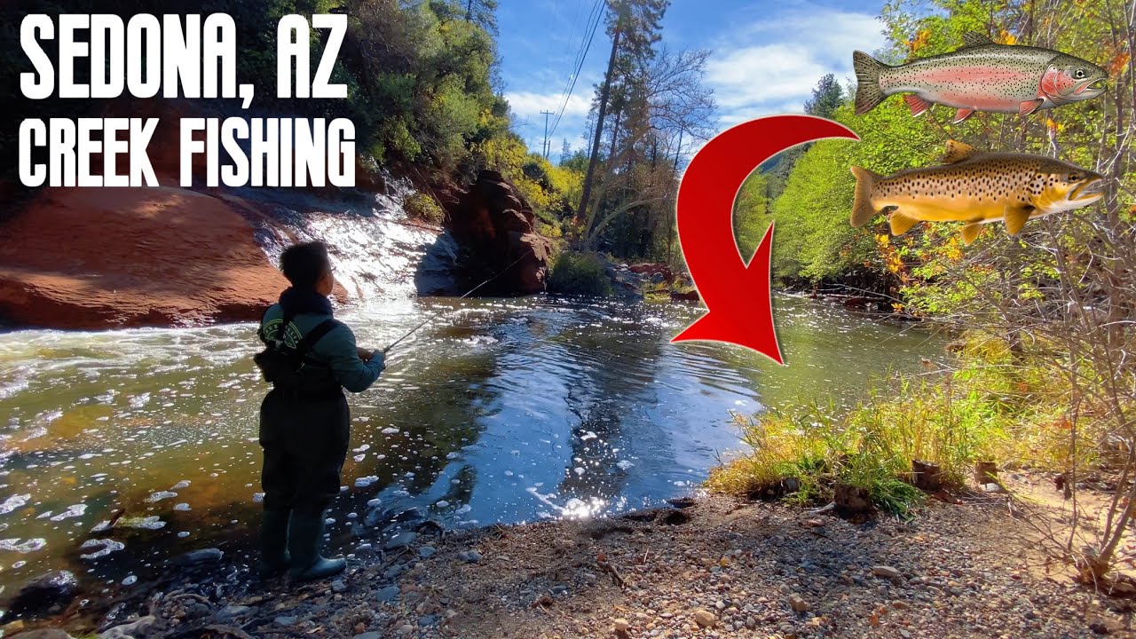 You Won’t Believe What Fish Lives Here (Oak Creek Fishing)