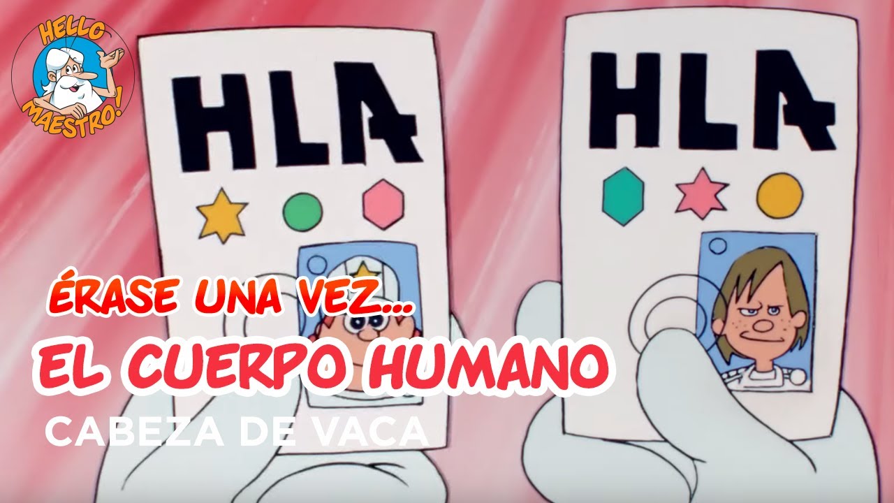 Erase Una Vez... El Cuerpo Humano - La médula osea