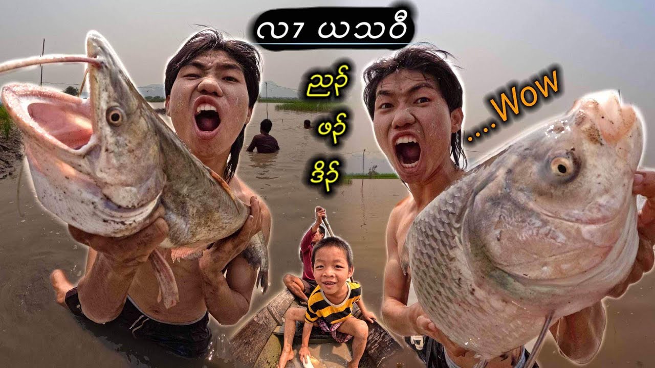 .! Big fish in my village.🐟🐬😱