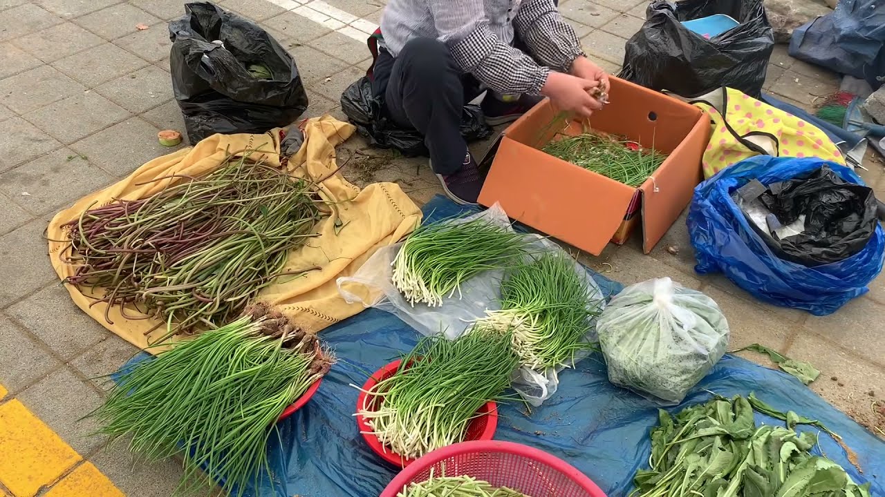 풍산장날 | 안동한우 불고기타운이 조성되어 있는 풍산장터