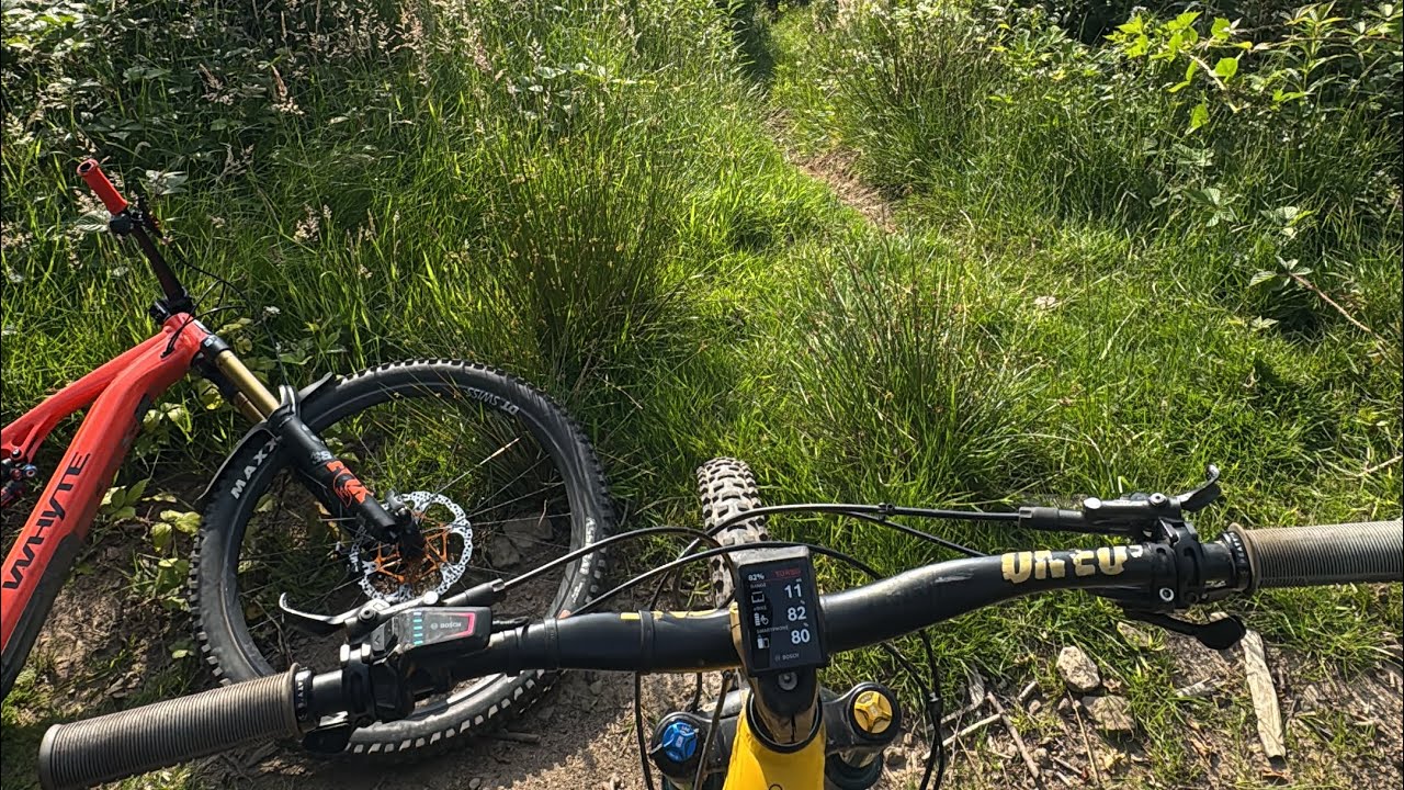 Crumlin Trail Crew&rsquo;s latest creation - Gregory&rsquo;s Garden #mtbtrails
