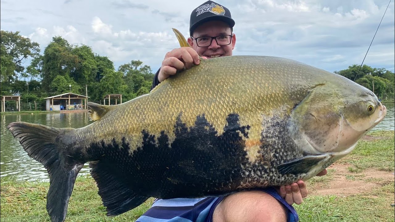 SOBE MUITO NA CEVA! PESCARIA DE GRANDES PEIXES E MUITAS ESPÉCIES - TV LOUCOS 193