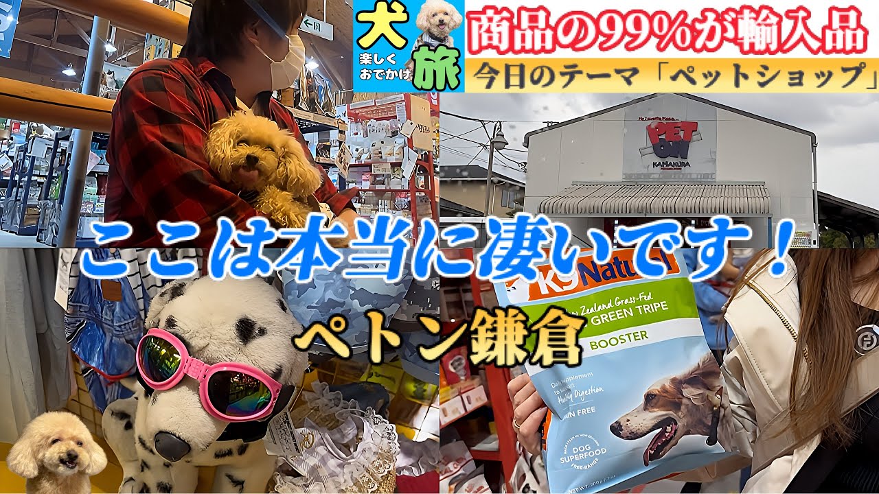 こんな凄いペットショップは初めてです！犬と暮らしてる人は絶対にワクワクします。【鎌倉旅】