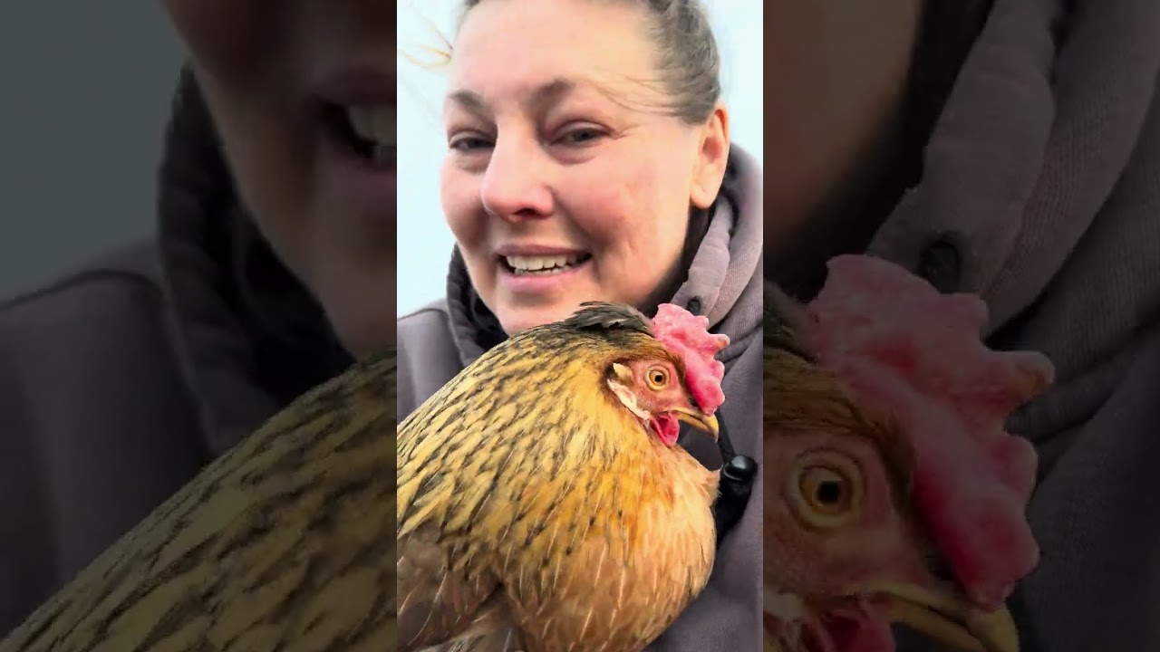 Chicken Whispering